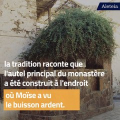 Le monastère de Sainte Catherine au Mont Sinaï