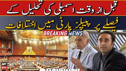 Differences in the People's Party over the decision to dissolve the Assembly prematurely