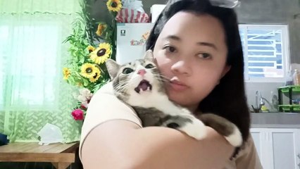 Adorable Staring Contest Between Cat and Owner