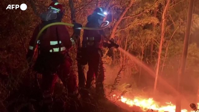 Mattarella non molla sul clima, appello con 5 capi di Stato