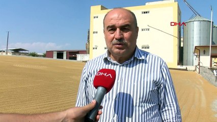 Le voyage de Gaziantep Bulgur： Le processus troublé qui s'étend aux tables