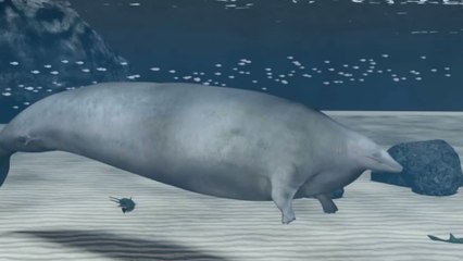 Dünyanın en ağır hayvanının fosili bulundu