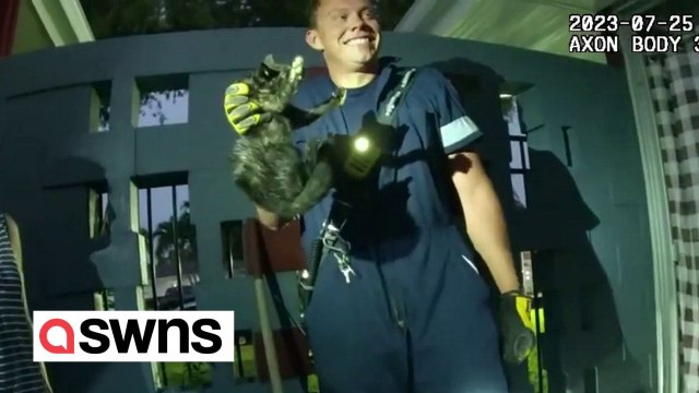 Firefighters rescue kitten trapped inside concrete wall