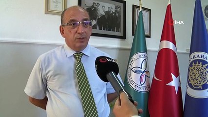 Le changement climatique frappe les oliviers