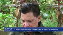 Dinas Kehutanan Imbah Warga Untuk Tidak Membakar Lahan