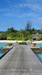 Kamyabi ka raaz Seceret of success