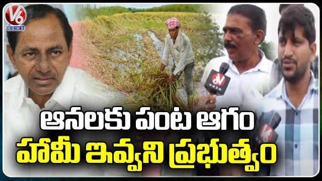 Huge Crop Loss Due To Nizamabad Rains ,Govt Ignoring Farmers | V6 News