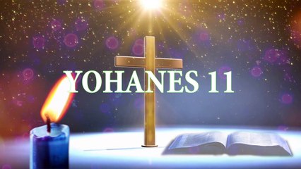 YOHANES 11 | ALKITAB SUARA (TB)