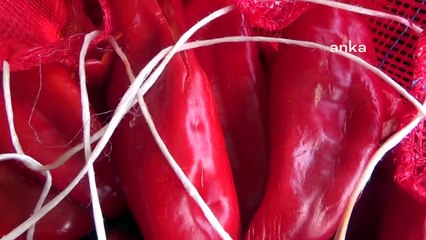 Salçalık Biber Fiyatları Artıyor