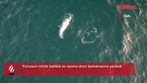 Yunusun av oyunu dron kamerasında!