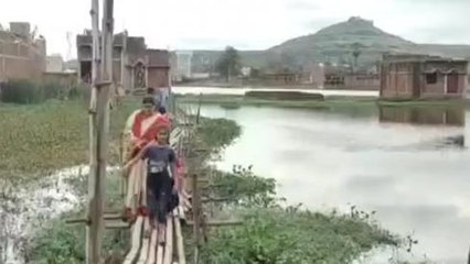 रोहतास: सासाराम में लोग चचरी पुल के सहारे, जान जोखिम में डालकर आने-जाने को मजबूर