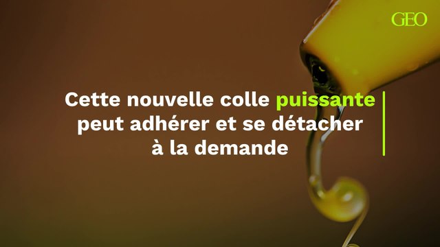 Cette nouvelle colle puissante peut adhérer et se détacher à la demande