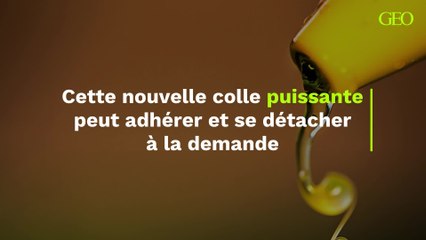 Cette nouvelle colle puissante peut adhérer et se détacher à la demande