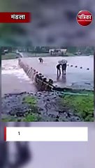 नाले के बहाव में बहे तीन लोग