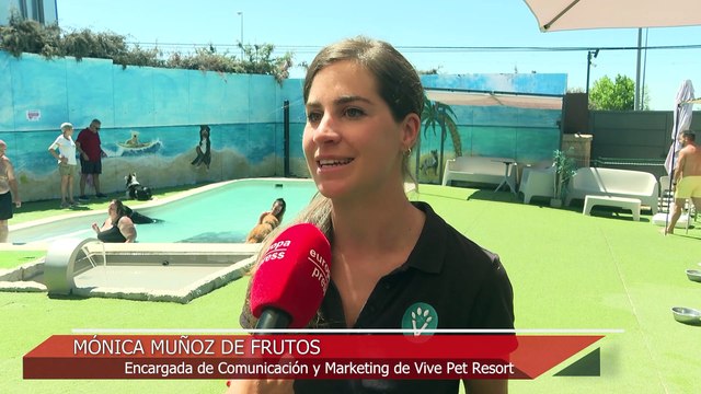 Mascotas y plantas durante vacaciones: Iniciativas para su buen cuidado