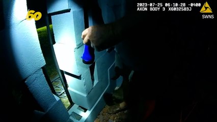 Cat Learns Valuable Lesson in Tight Hole Squeeze