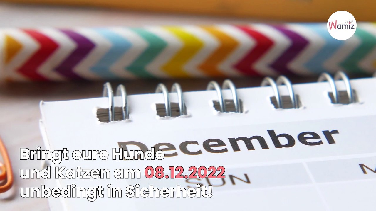 Bringt eure Hunde und Katzen am 08.12.2022 unbedingt in Sicherheit!