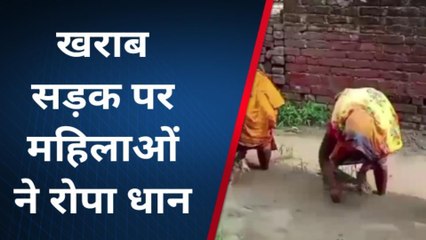 फतेहपुर: खराब रास्ते पर चलने में ग्रामीण है मजबूर,विरोध कर महिलाओं ने सड़क में रोपा धान