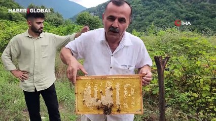 Bal arıları petek üzerinde ‘Allah’ yazısı oluşturdu