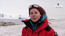 Altaïr Conférences : Antarctique - Aux confins du monde Bande-annonce VF