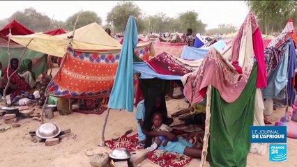 "Horreur inimaginable" au Soudan : Amnesty dénonce une "généralisation des crimes de guerre"