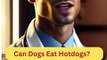 Can Dogs Eat Hotdogs? | Dog Food | Zudaan