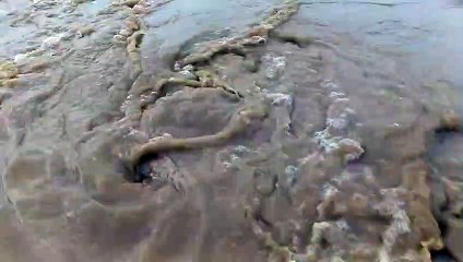 नर्मदा उफान पर, 951 फीट के पार, तटों से दूर रहने किया अलर्ट