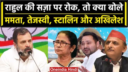 Rahul Gandhi की सजा पर Supreme Court की रोक, क्या बोले- Akhilesh और Tejashwi Yadav | वनइंडिया हिंदी