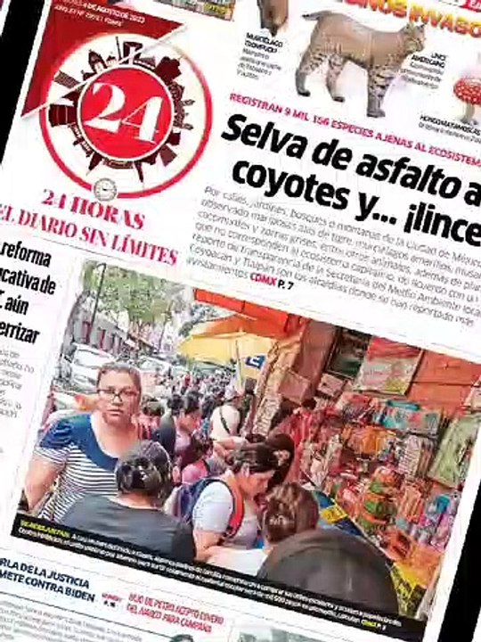 24 Horas Sedema registró 9 mil 166 especies raras en la capital