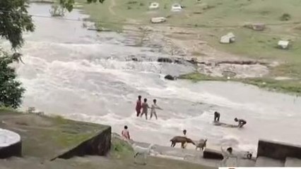 रीवा: बाढ़ के पानी में डूबा इलाका, क्षेत्रवासियों ने प्रशासन से लगाई गुहार