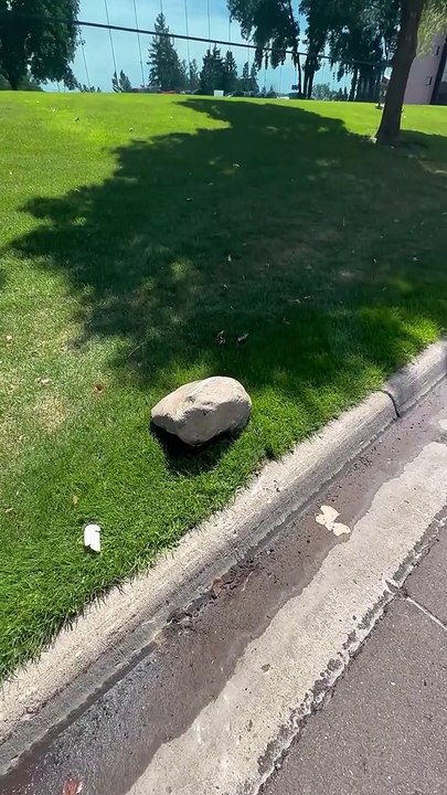 Man Struggles To Remove Rock From Under Car