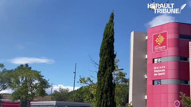 Montpellier, incendie de voitures proche odysseum
