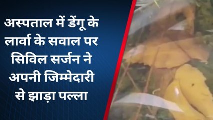 अशोकनगर: सिविल सर्जन के ऑफिस में पनप रहा डेंगू का लार्वा, देखिए Video