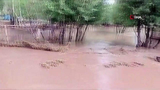 Van'da sel: Vatandaşlar evlerinde mahsur kaldı, 1 büyükbaş hayvan ise telef oldu