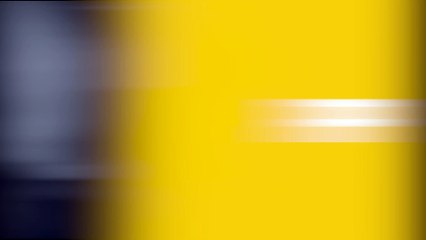 Vídeo hilário: gato dedo-duro ajeita câmera para flagrar cão destruindo o controle remoto