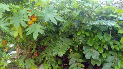 বাংলা চটি গল্প | choti golpo