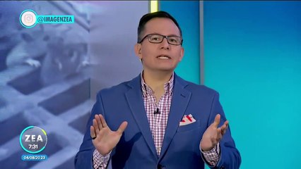 Ratas invaden Nueva York