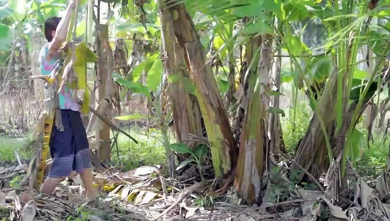 Traditional water and Moon festival and Boat racing in my Country - Polin life style