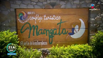 Refugio protege a burritos maltratados y abandonados en Huasca, Hidalgo