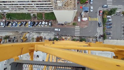 GRUTIER (3) GRUE A TOUR   AGRESSION  REVENDICATION  OU TENTATIVE DE SUICIDE    OH SE BORDEL !