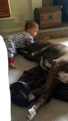 Funny moments! THE END _funnypictures _FunnyPinns -SofiaFunnyPin _FunnyOrDie _funnyordie -funnyvideos _FunnyQuotes