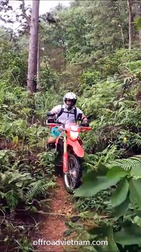 Jungle Dirtbiking In Hanoi By Honda CRF250/300L On Vietnam Motorcycle Tours | VietnamOffroad.Com