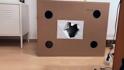 Just two cats wrestling inside a cardboard box