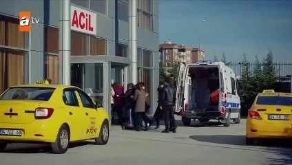 246. Huerfanas (Kirgin Cicekler), en español