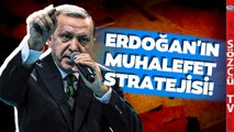 Erdoğan'ın Muhalefet Planını Tek Tek Anlattı! Uzman İsimden Dikkat Çeken Analiz