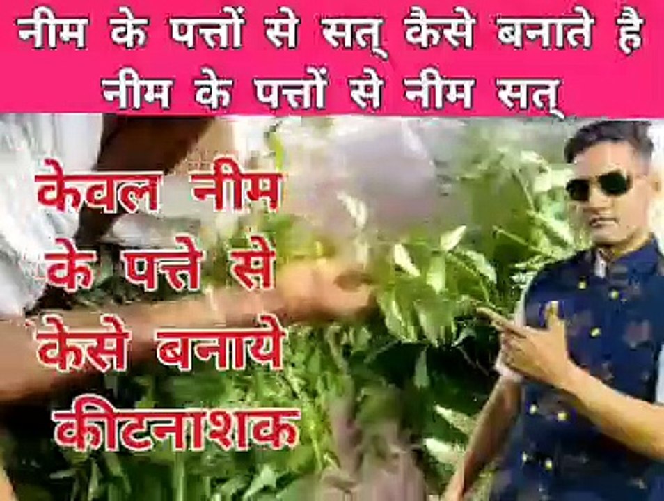 केवल नीम के पत्ते से केसे बनाये कीटनाशक