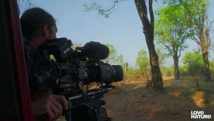Angry Elephant Herd Charges Towards Cameraman   Love Nature