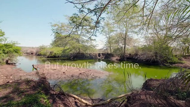Baby Crocodiles & Crocs Hunting Wild Animals Love Nature
