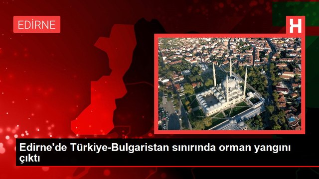 Edirne'de Türkiye-Bulgaristan sınırında orman yangını çıktı