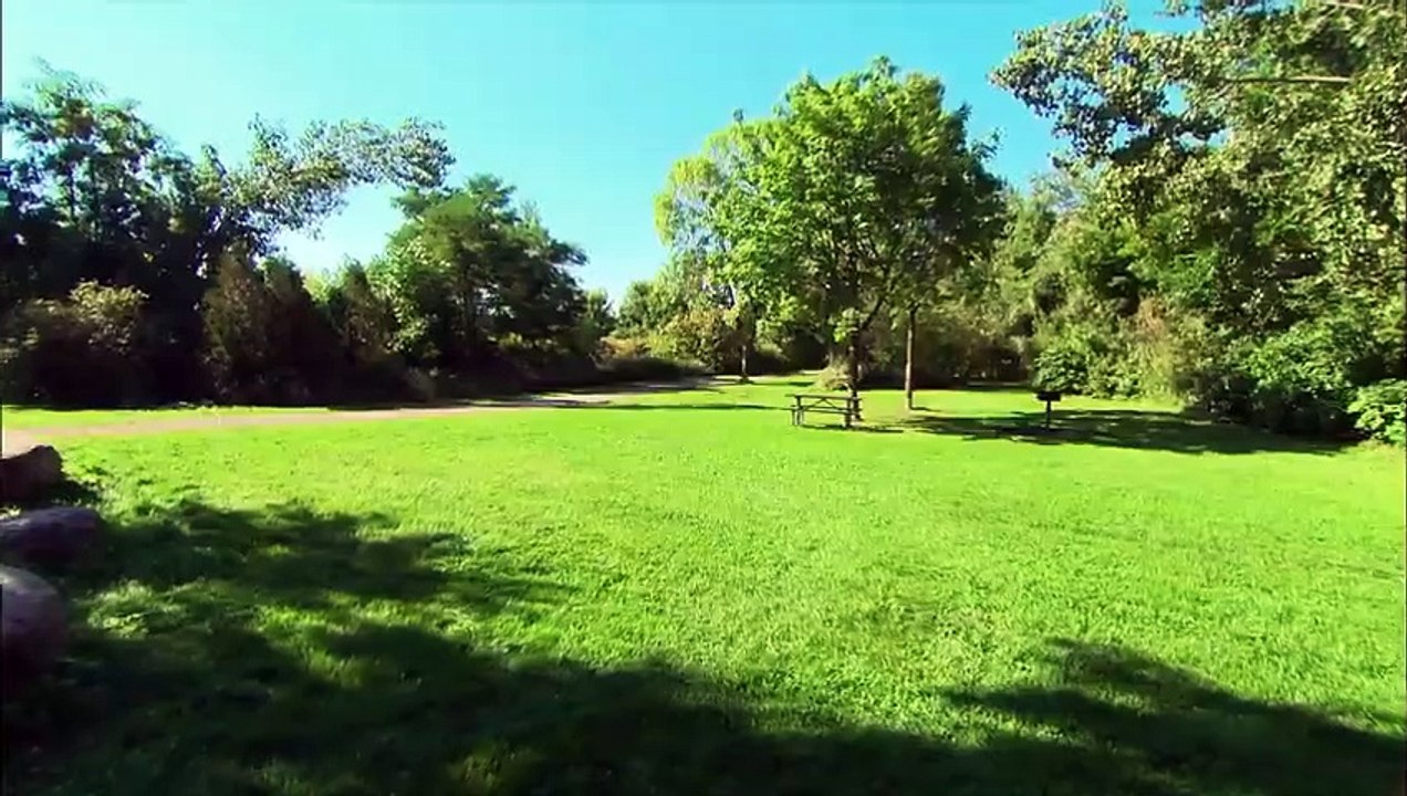 Rescuers Free Raccoon with Head Stuck in Jar   City Wildlife Rescue Ep105